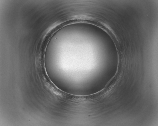 X0000081560971200701221023