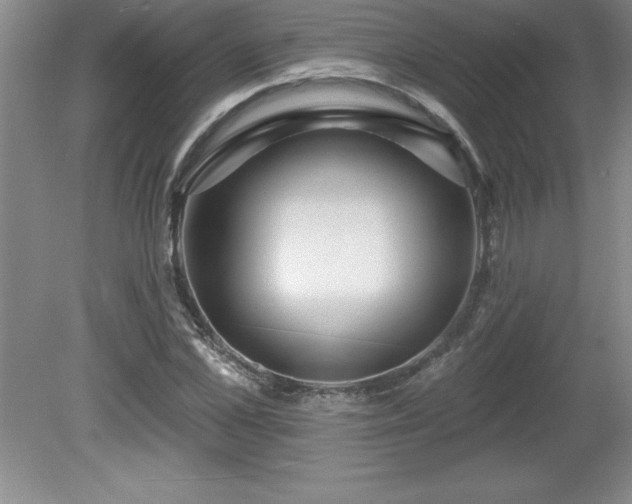 X0000081560973200701221022