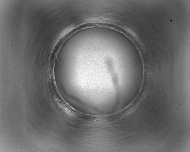 X0000081560974200701221022