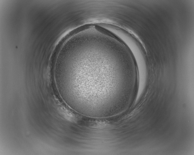 X0000081560975200701221022