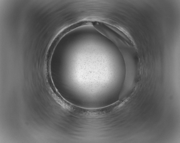 X0000081560976200701221022