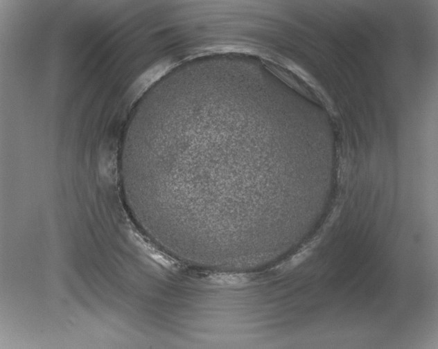 X0000081560977200701221022