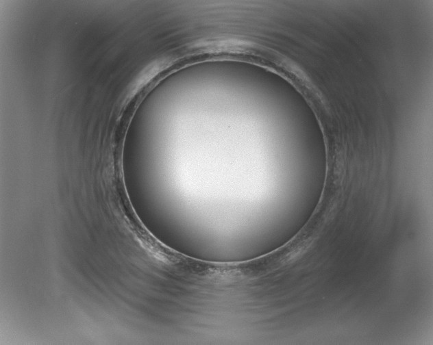 X0000081560978200701221022