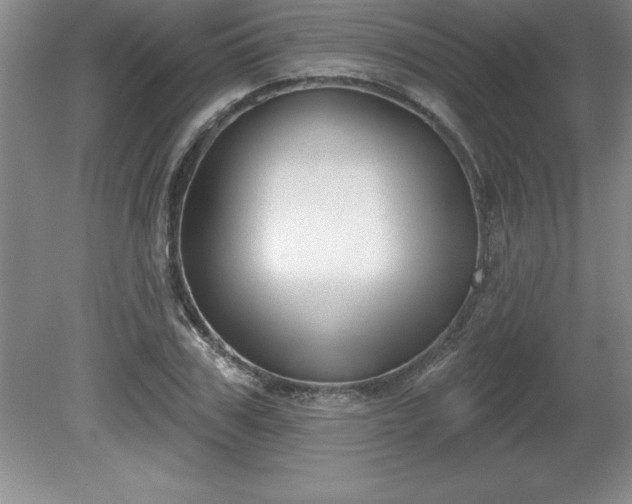 X0000081560979200701221022