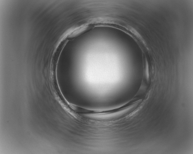 X0000081560981200701221022