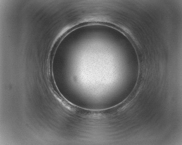 X0000081560982200701221022