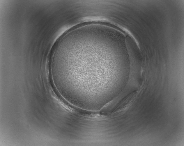 X0000081560983200701221022