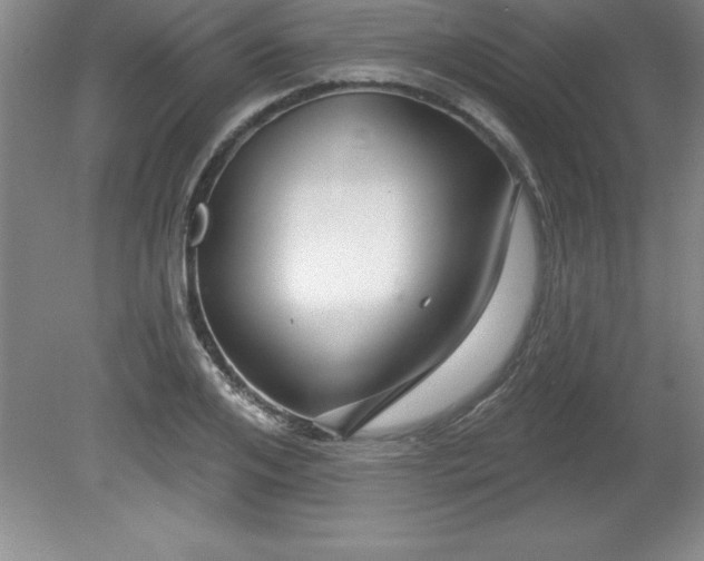 X0000081560984200701221022