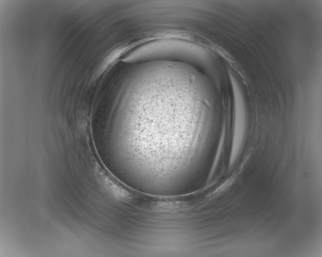 X0000081560985200701221022