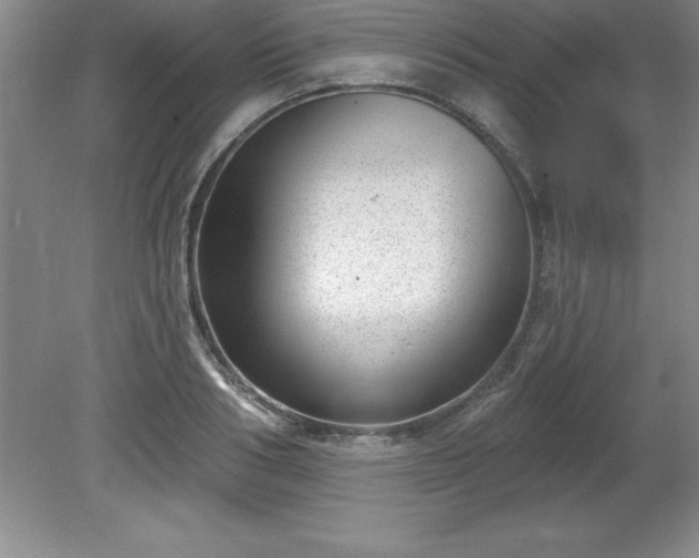 X0000081560986200701221022