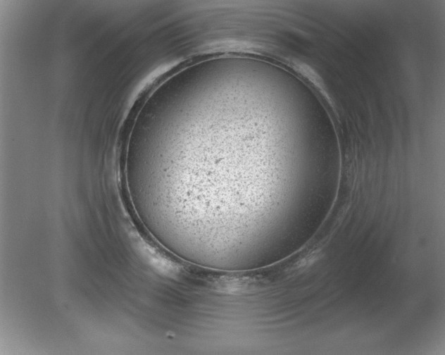 X0000081560987200701221022