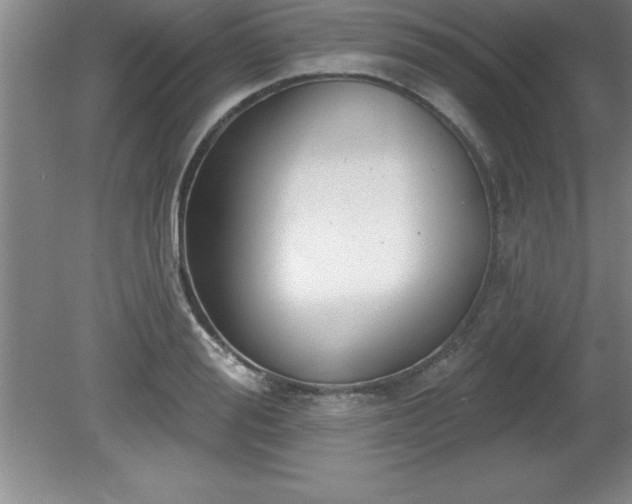 X0000081560988200701221022