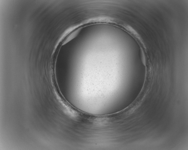 X0000081560989200701221022