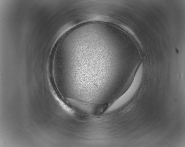 X0000081560991200701221022