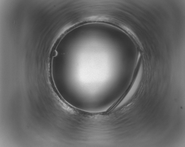 X0000081560992200701221022