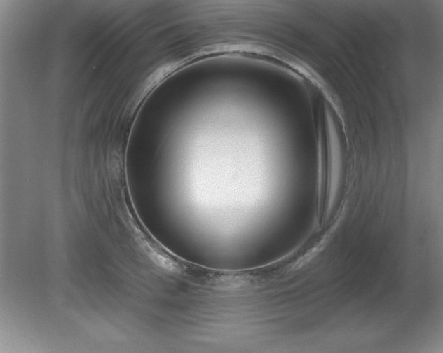 X0000081560993200701221022