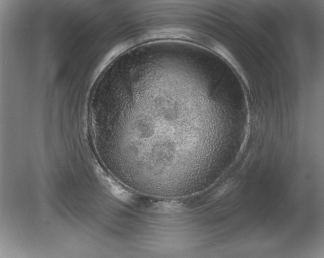 X0000081560994200701221022