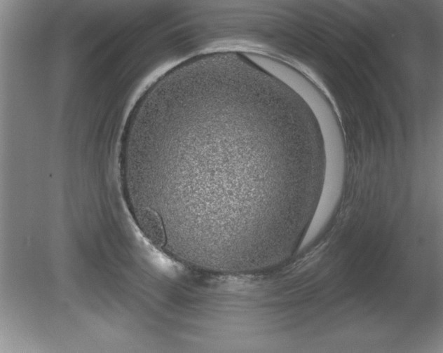 X0000081560995200701221022