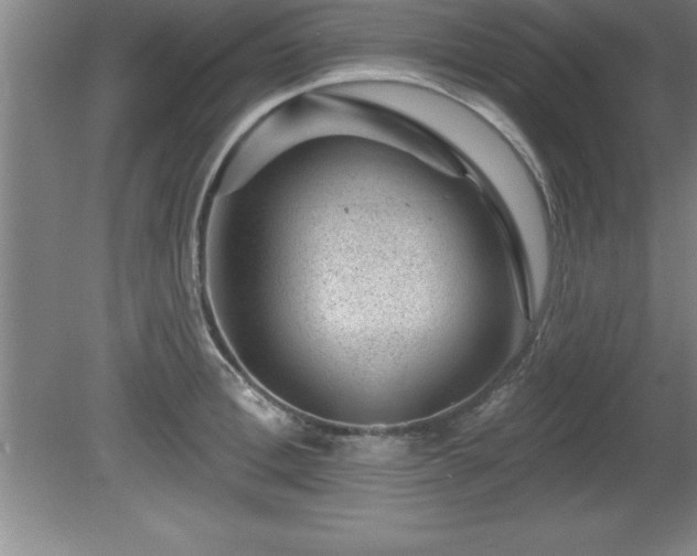 X0000081560996200701221022