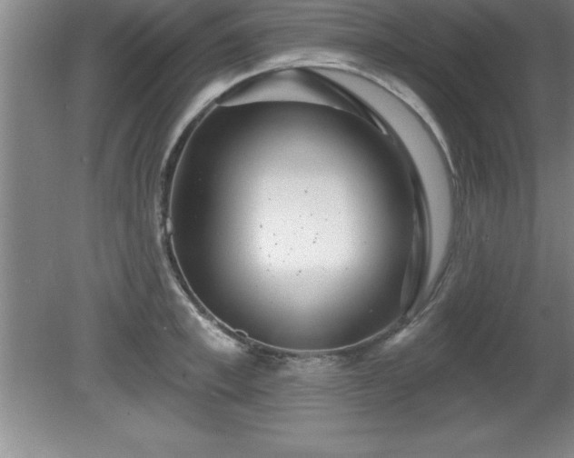 X0000081560997200701221022