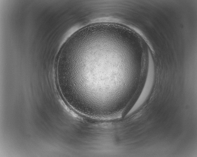 X0000081560998200701221022