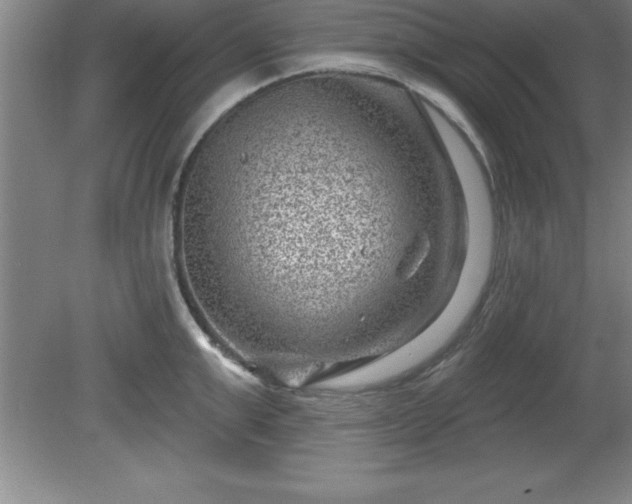 X0000081560999200701221022