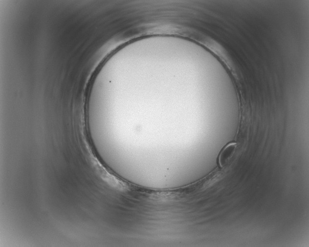 X0000081561000200701221022