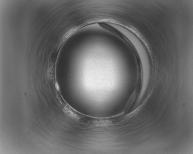 X0000081561001200701221022