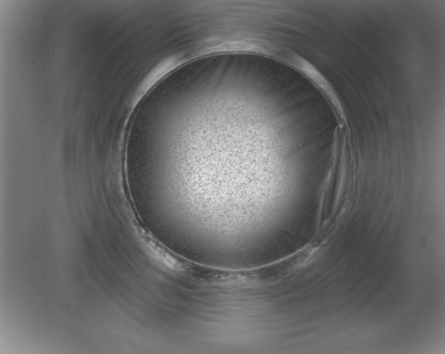 X0000081561002200701221022