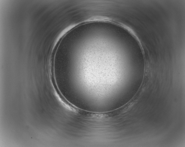 X0000081561003200701221022