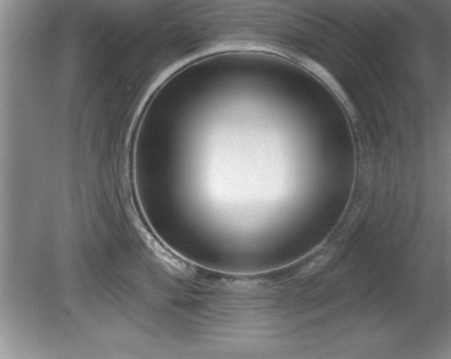 X0000081561004200701221022