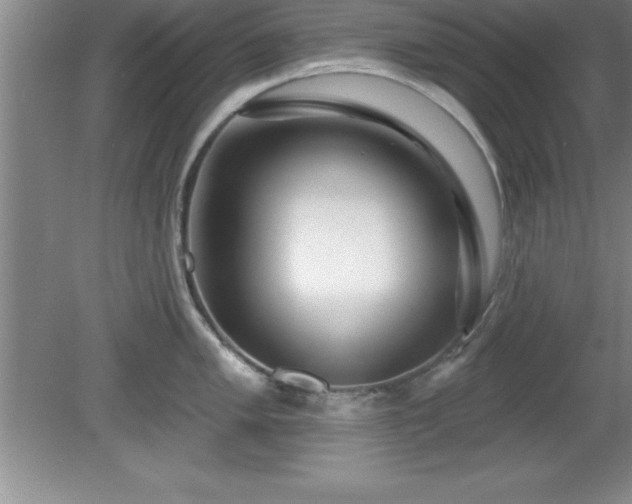 X0000081561005200701221022