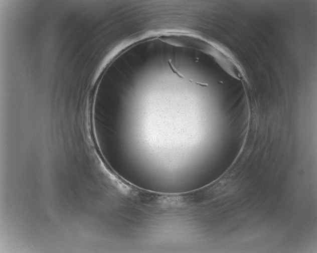 X0000081561006200701221022