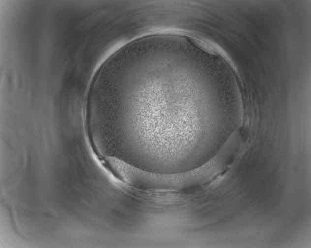 X0000081561007200701221022