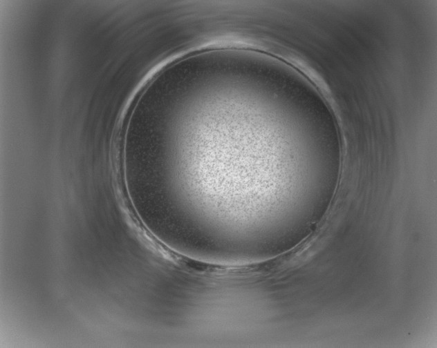 X0000081561008200701221022