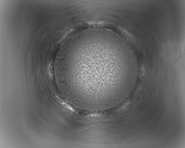 X0000081561010200701221021