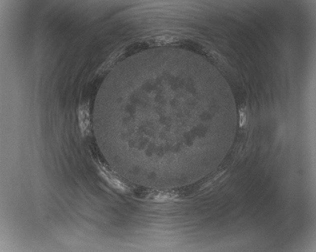 X0000081561011200701221021