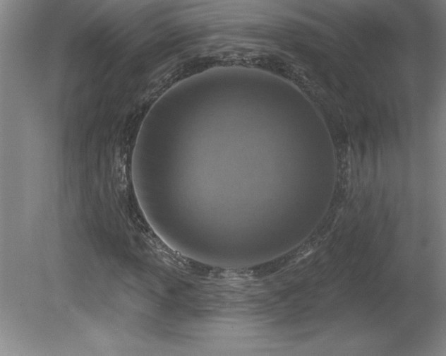 X0000081561013200701221021