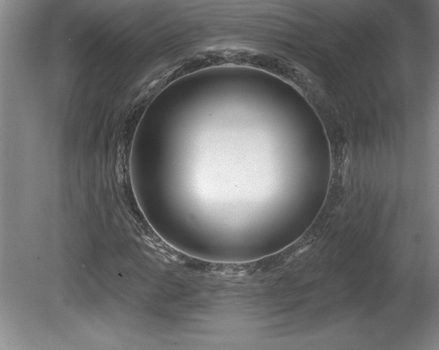 X0000081561014200701221021