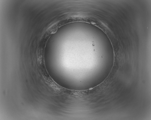 X0000081561015200701221021