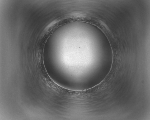 X0000081561016200701221021