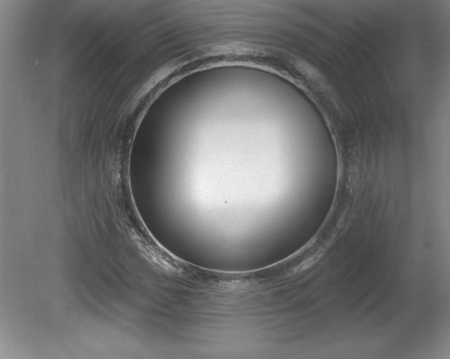 X0000081561017200701221021