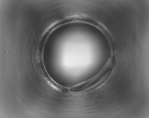 X0000081561018200701221021