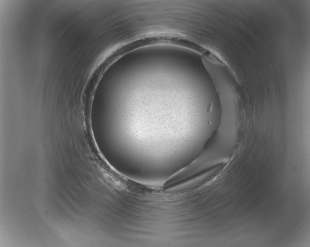 X0000081561022200701221021