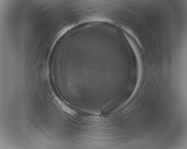 X0000081561024200701221021