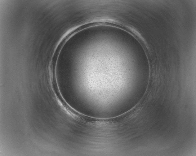 X0000081561032200701221021