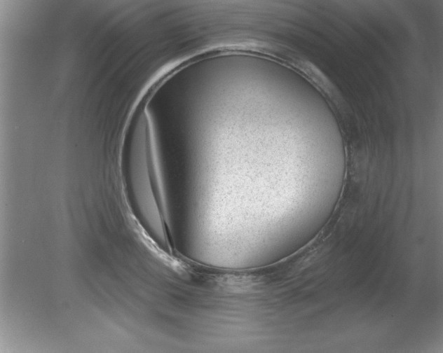 X0000081561036200701221022