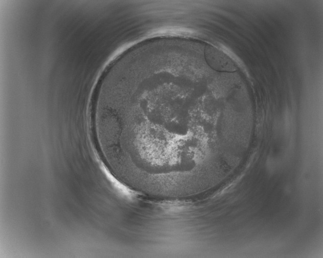 X0000081561037200701221022