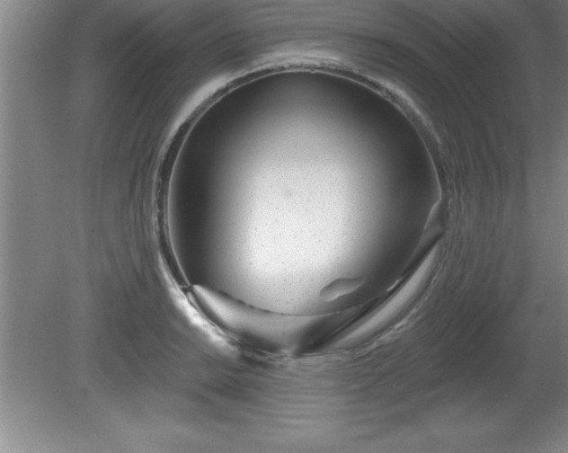 X0000081561038200701221022