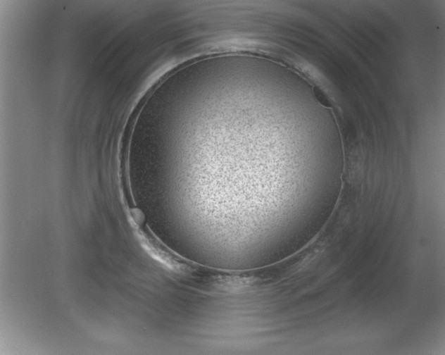 X0000081561039200701221022